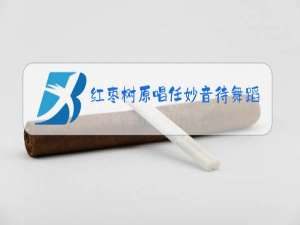 红枣树原唱任妙音待舞蹈