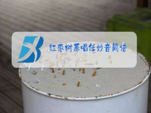 红枣树原唱任妙音简谱