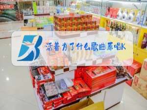 活着为了什么歌曲原唱KTV视频