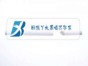 回族丫头原唱苏尔东