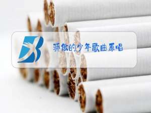 骄傲的少年歌曲原唱
