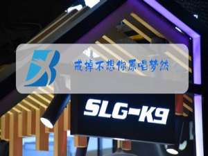 戒掉不想你原唱梦然