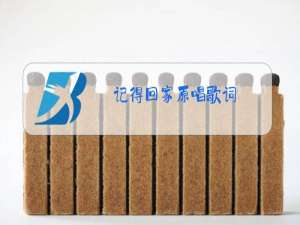 记得回家原唱歌词