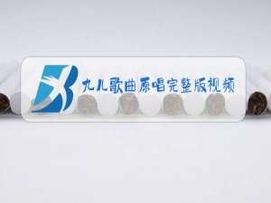 九儿歌曲原唱完整版视频