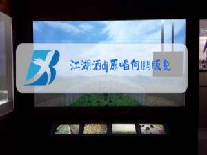 江湖酒dj原唱何鹏版免费下载