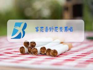 家花香野花美原唱