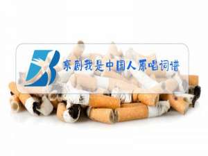 京剧我是中国人原唱词谱