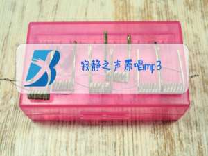 寂静之声原唱mp3