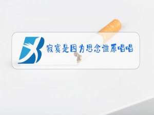 寂寞是因为思念谁原唱唱得最好听