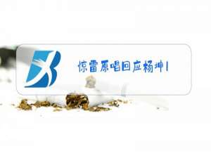 惊雷原唱回应杨坤1