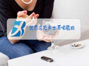 就恋这把黄土原唱歌曲