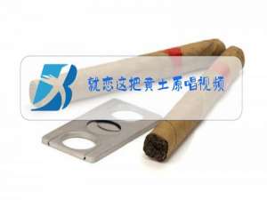 就恋这把黄土原唱视频