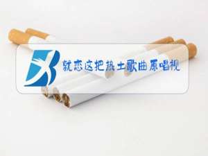 就恋这把热土歌曲原唱视频