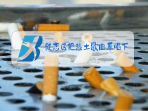 就恋这把热土歌曲原唱下载