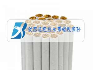 就恋这把热土原唱视频孙国庆