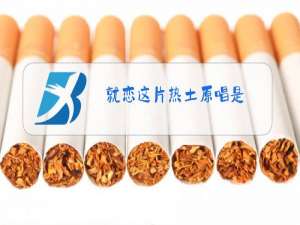 就恋这片热土原唱是