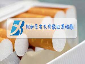 假如爱有天意歌曲原唱歌词