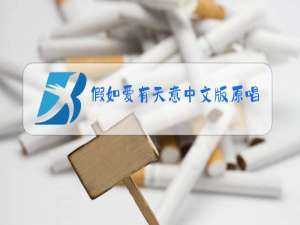 假如爱有天意中文版原唱