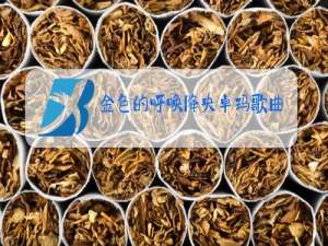 金色的呼唤降央卓玛歌曲原唱