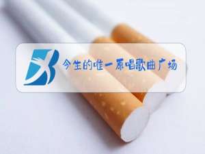 今生的唯一原唱歌曲广场舞版的