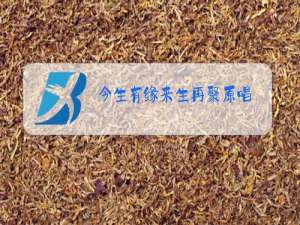 今生有缘来生再聚原唱