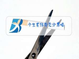 今生有缘却无分原唱