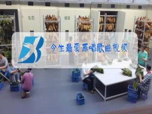 今生最爱原唱歌曲视频