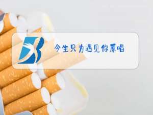 今生只为遇见你原唱.mp3