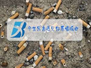 今生只为遇见你原唱版合唱