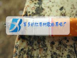 家乡的红枣树歌曲原唱广场舞健身