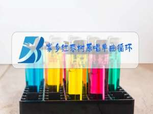 家乡红枣树原唱单曲循环