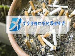 家乡那棵红枣树原唱视频