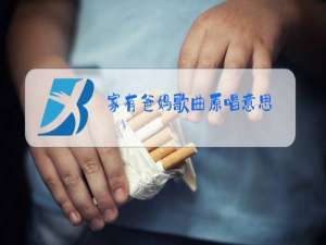家有爸妈歌曲原唱意思