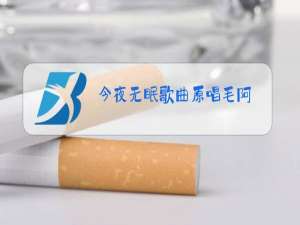 今夜无眠歌曲原唱毛阿