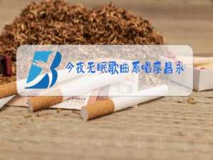 今夜无眠歌曲原唱廖昌永