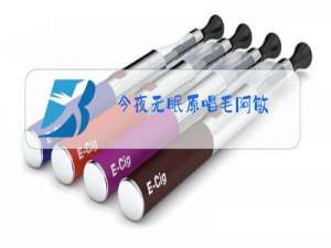 今夜无眠原唱毛阿敏