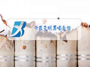 今夜无眠原唱是谁