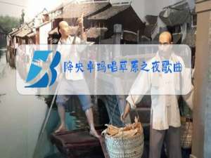 降央卓玛唱草原之夜歌曲视频了