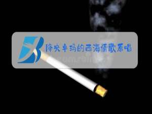 降央卓玛的西海情歌原唱