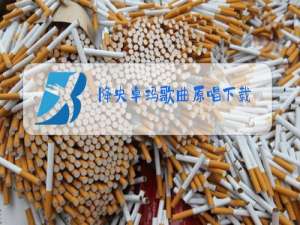 降央卓玛歌曲原唱下载