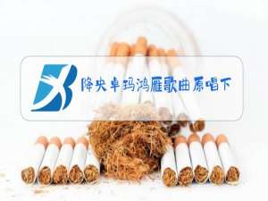 降央卓玛鸿雁歌曲原唱下载