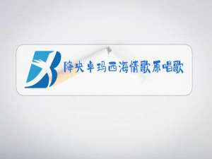 降央卓玛西海情歌原唱歌词
