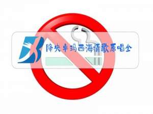 降央卓玛西海情歌原唱全集