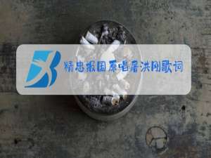 精忠报国原唱屠洪刚歌词