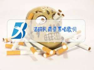 酒醉风雨情原唱歌词