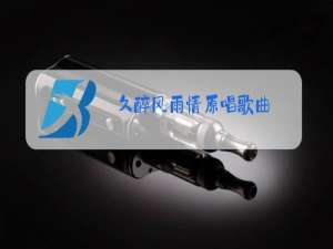 久醉风雨情原唱歌曲