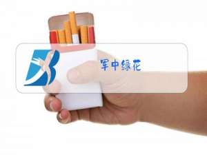 军中绿花(原人原唱)歌词