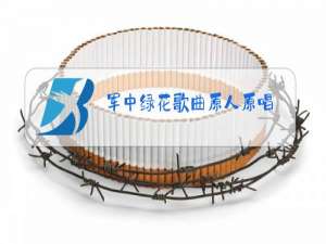 军中绿花歌曲原人原唱