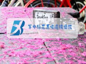 军中绿花原唱连续播放,朋友别哭