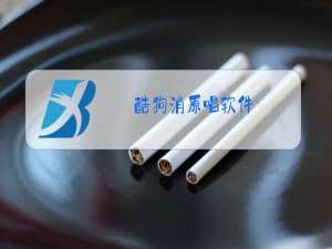 酷狗消原唱软件